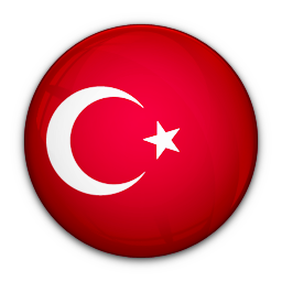 Доставка товаров и грузов из Турции в Россию